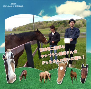 メト写真集の予約がスタート‼️📸🐈今、なぜグッズ販売に力を入れるのか？明確な"理由"をお話しします🗣️