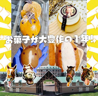 コラボお菓子企画を振り返って🍮🐴皆様に心からの感謝💞
