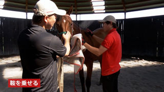 馬が人を乗せるための"最大の試練"⁉ 下河辺牧場、激動の2週間に迫る｜"ウマ"から競走馬にする方法1/2（下河辺牧場 下河辺隆行）