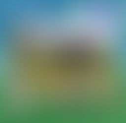 将来的にはネコパンチの馬房配信も⁉🐎🐱ノーザンレイククラブ（仮称）を計画中‼📝🤔