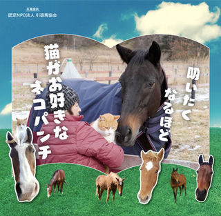 ネコパンチがメトを"猫吸い"🐈❣ 到着当日の様子にカメラが密着‼🎥