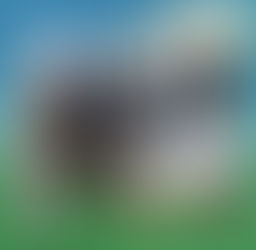 メイショウドトウ＆ネコパンチの日経賞勝ち馬コンビは、青草をムシャムシャ🏇😋ネコパンチのグッズ発売がスタート‼🎁