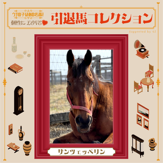 皐月賞の歴代最高配当を演出！ウオッカをはじめ数々の名馬と闘った、あの馬の現在 vol.41