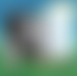 アシゲチャン問題が勃発❗可愛い顔して実は悪女⁉🐴😈