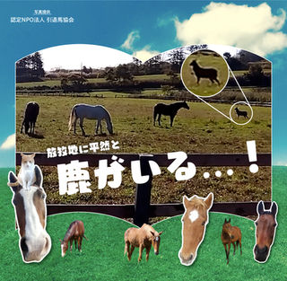 ざわ...ざわ...放牧地に鹿が侵入し、騒ぐ女子チーム🦌🐴💦それにつられて走り出すメイショウドトウ🐎💨