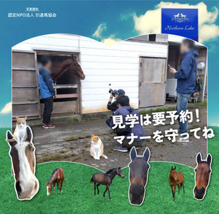 頭を悩ませる無断訪問者の存在…😓牧場見学マナーの啓蒙は急務です🐴
