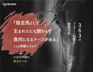 Loveuma.が聞く。引退馬の現実は、そもそも"問題"？｜アンケート調査 vol.1 大解剖 1/2