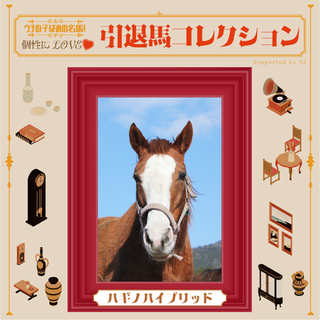 ナイスネイチャが余生を導いた⁉︎ みんなが慕う群れのボス、ハギノハイブリット! vol.46