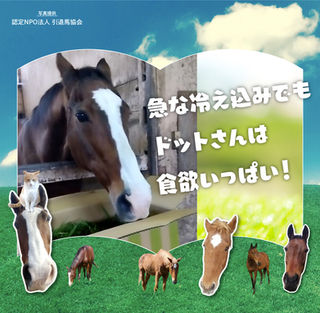 メイショウドトウが馬着姿に変身🐴🪄🧥&女子チームの絆を感じる出来事が...💞