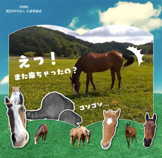 度重なるアライグマの出現...🦝高齢のメイショウドトウのためにも、中の人、動きます❗🙌