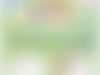 【かめやまお茶の間10選(実践)】