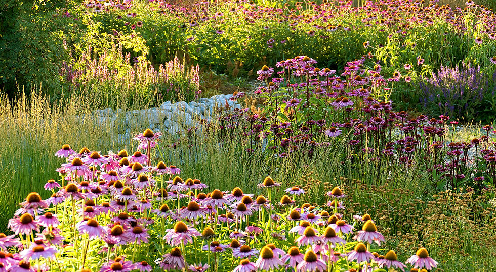 Staudengarten Bauernhof zur chalte Hose