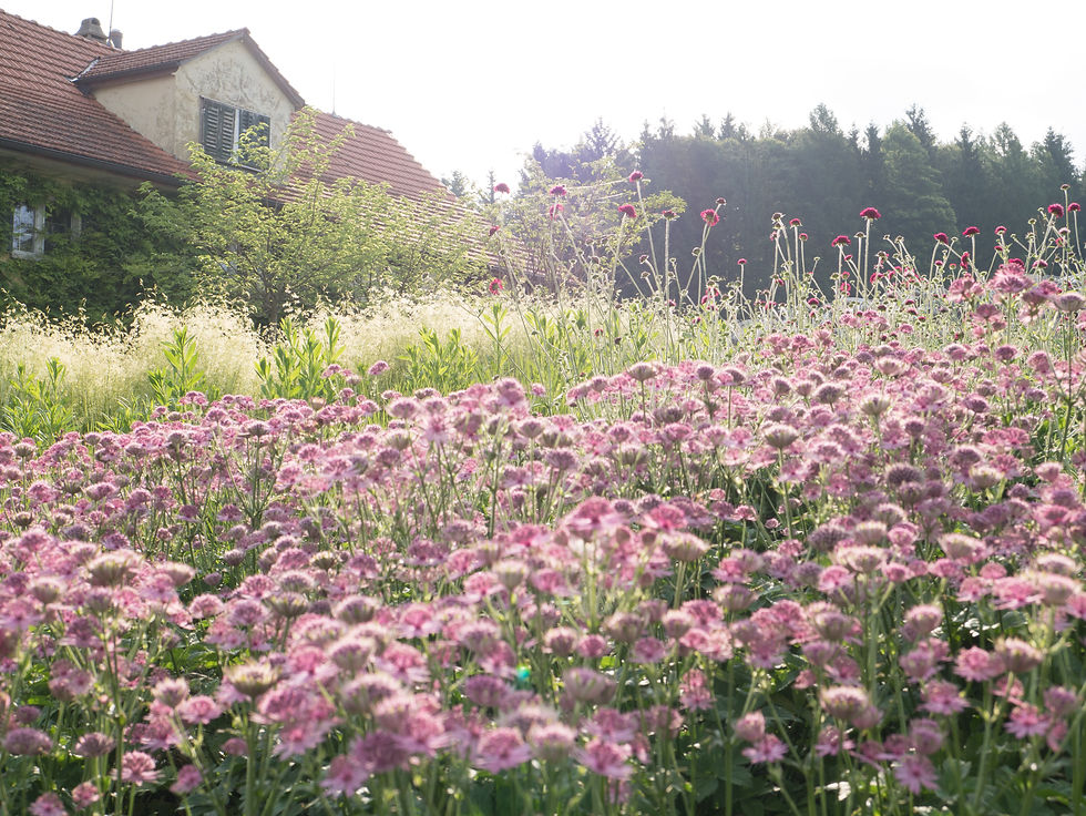 Bauerngarten Hohrüti