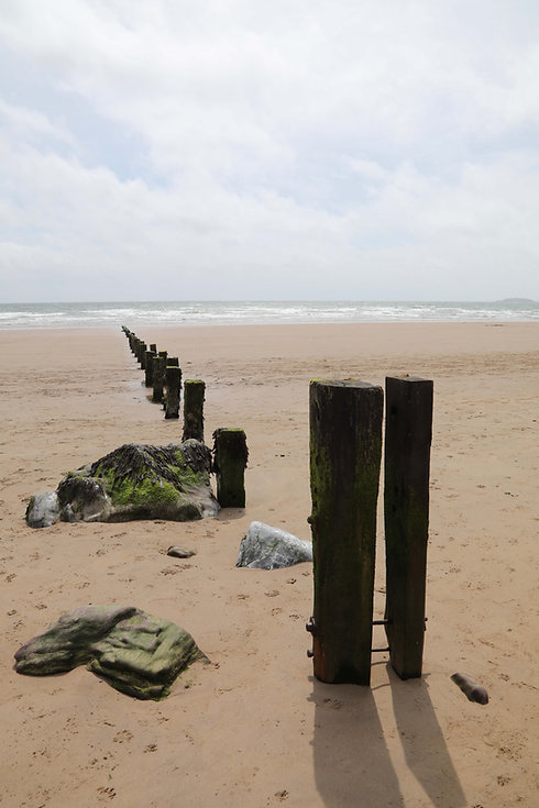 Beach Barriers.jpeg