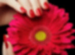 LUXURY MANICURE