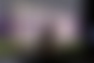 Pozdrav iz The Upside Down. Walid Raad: Dve kaplji na utrip