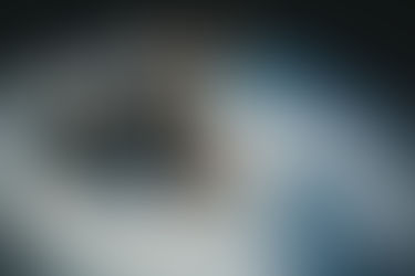 »Vse se medsebojno interpretira«: Koreografija in neskončnost interpretacije