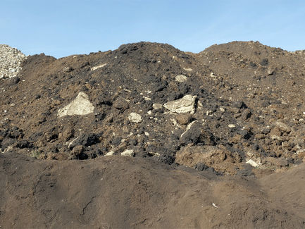 Svoboda ruševine