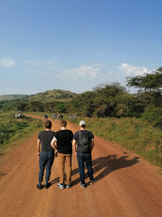 Walking Safari