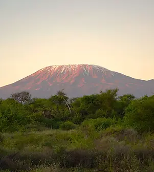 kenia-kilimanjaro-amboseli-nationalpark.webp
