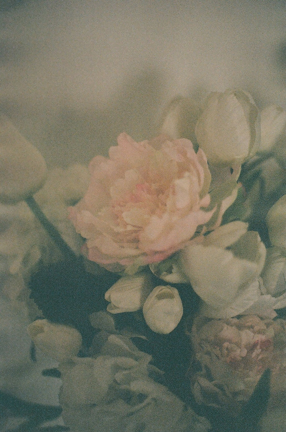 flowers2.jpg