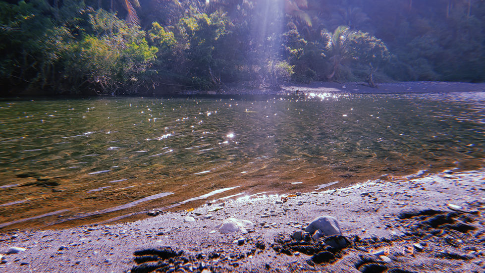 Sunlight on River