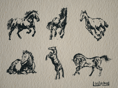 Animals