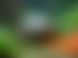 Pravilno hranjenje vaše kornjače