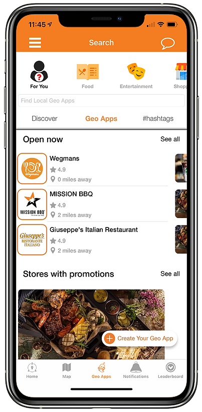 Geo Apps (Store View) (Compressed).png