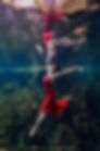 freedivephotoshoot