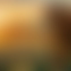 Quantum Energy News: Livestock & Agricultural