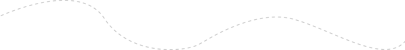 Fellowship Curve_Grey_4x.png