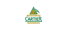 Cartier Resources.png