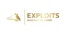Exploits Discovery.png