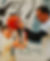 405A9951_edited.jpg