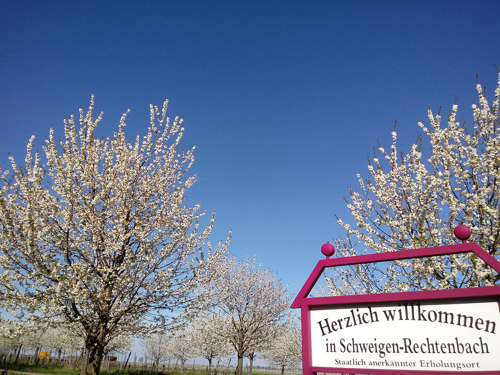 Herzlich Willkommen II.jpg