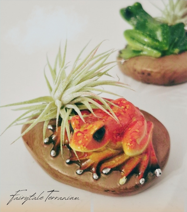 Rainforest Frog Airplant | Amerishop Store