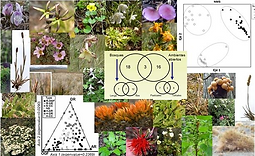 María Vanessa Lencinas