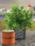 S&S Specialty Cup.jpg
