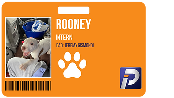 interns (1).png