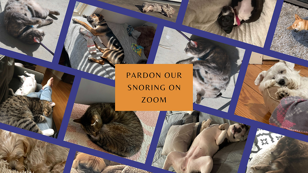 Snoring (2).png