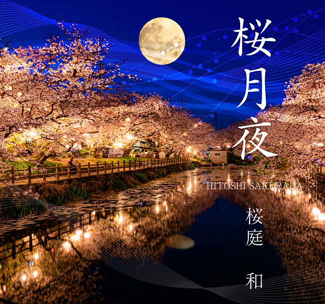 月夜桜 500_F_566477103_o4oSDty1op9Rcp