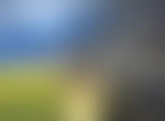 Qual o impacto da guerra na Ucrânia p/ o Meio Ambiente?
