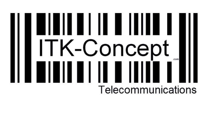 Erstellung und Realisierung des Business Plan sowie Gründung und Leitung der
ITK-Concept