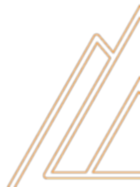 Logo De Beer Projecten_Countour_edited_edited_edited_edited.png