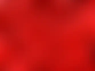 ¿Cuál es la diferencia entre lujuria y amor?