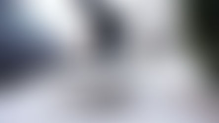 Tormenta invernal en el noreste de EE.UU. obliga a declarar emergencias y prohibir viajes