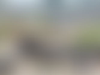 Haití y el futuro para RD