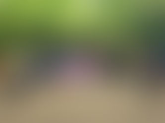 Carlos Peña advierte cerrarán carretera Santo Domingo-Samaná si gobierno no detiene contaminación del río Jabí por empresa Depalma
