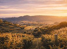 Mudgee Wine Region Landscape – Conference Destination